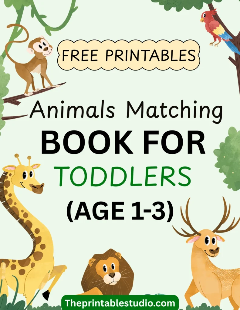 Simple animals matching activity book for toddlers