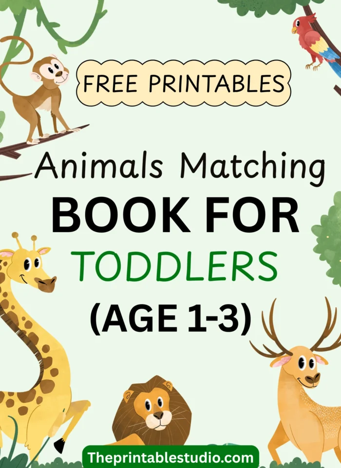 Animals matching book for toddlers