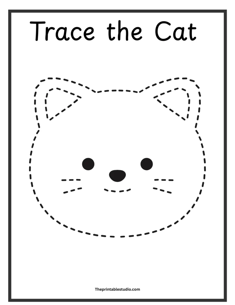 Animals tracing book for toddlers.