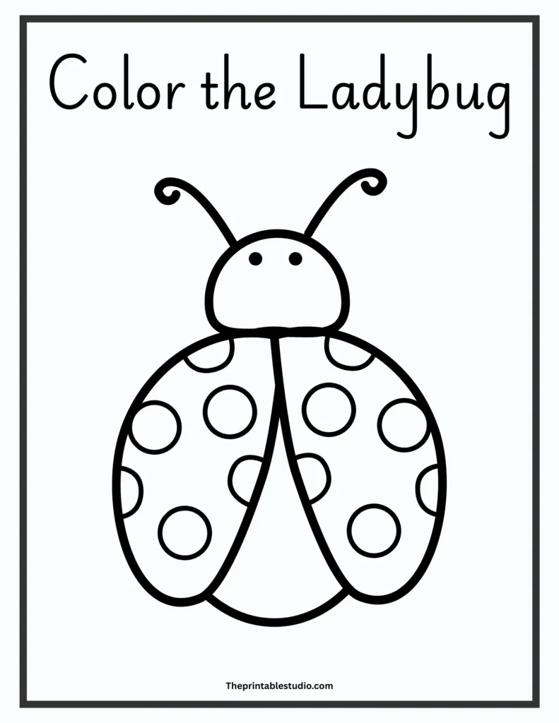 Bugs and insects activity book for toddlers.