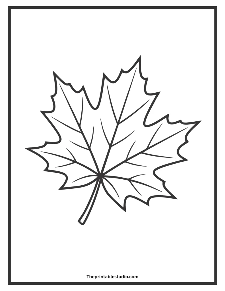 Autumn coloring book for toddlers.